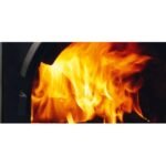 Chaudière bois à gazéification Domusa LIGNUM NG 20 – Image 2