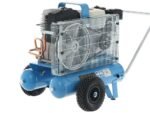 kit motocompresseur campagnola mc 545 honda gp160 + 2 peignes vibreurs pneumatiques tuono evo + sécateur pneumatique victory
